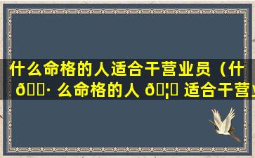 什么命格的人适合干营业员（什 🕷 么命格的人 🦉 适合干营业员工作）